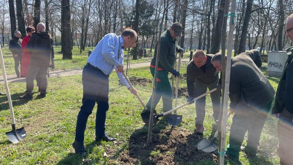 CSR aktivnost - Sadnja drveća